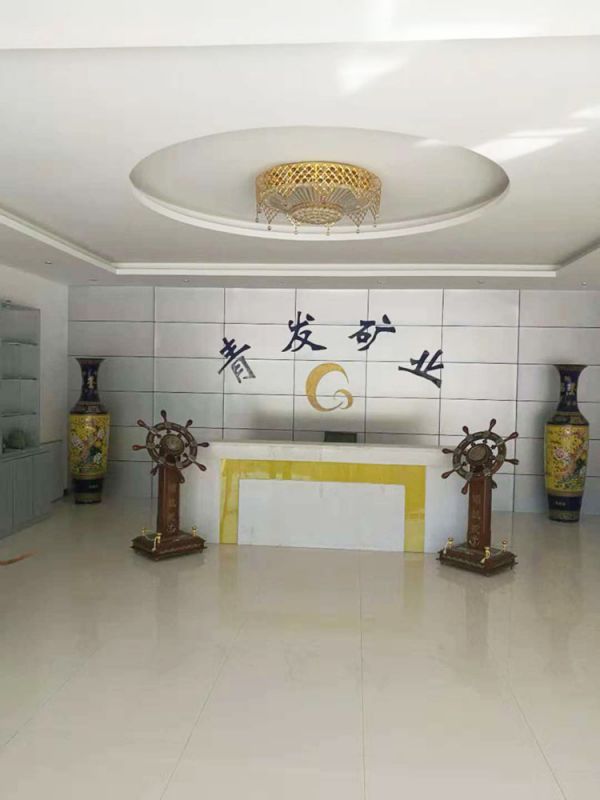 洛陽青發(fā)礦業(yè)公司執(zhí)行案司法評(píng)估